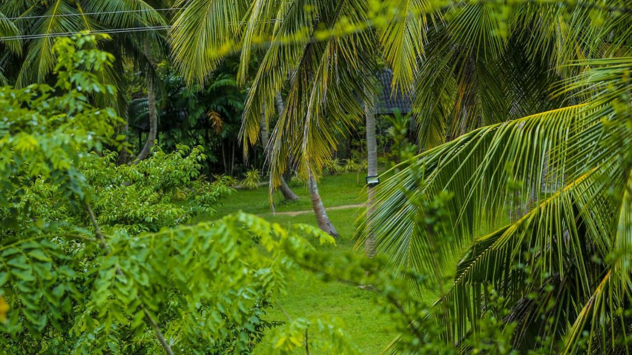 Silver Crown Nature Resort Kombichankulama 外观 照片