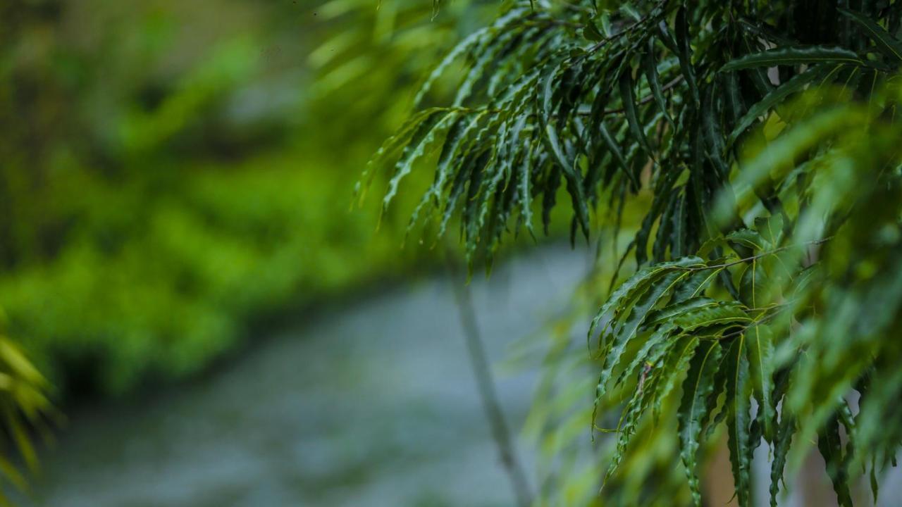 Silver Crown Nature Resort Kombichankulama 外观 照片