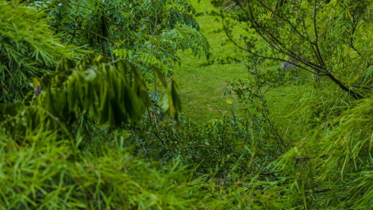 Silver Crown Nature Resort Kombichankulama 外观 照片